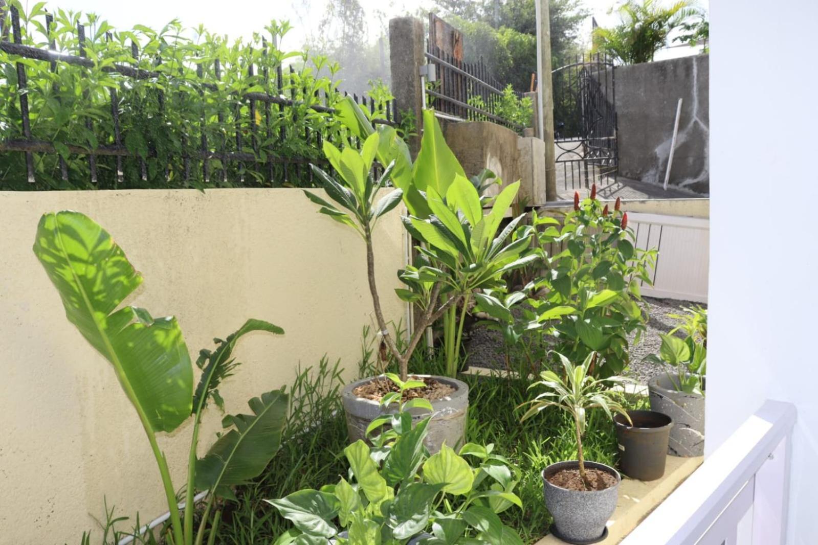 Garden Suite Trou d' Eau Douce Kültér fotó